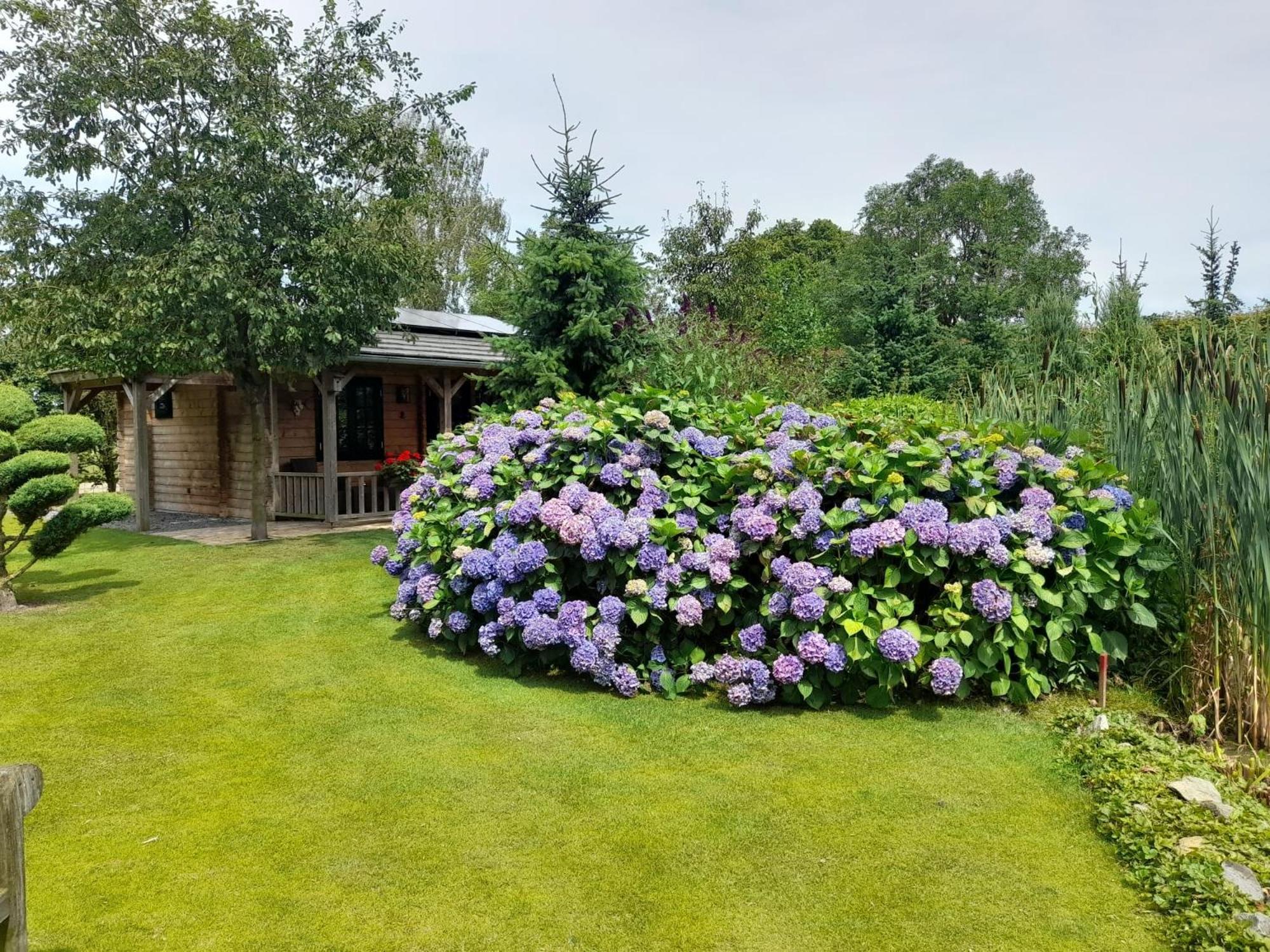 Appel Lodge Diessen Экстерьер фото